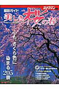 美しき桜の春・撮影ガイド