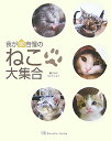 我が家自慢のねこ大集合