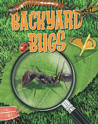 Backyard Bugs BACKYARD BUGS （Crabtree Connections Level 1 - Below-Average） Louise A. Spilsbury