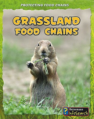 Grassland Food Chains GRASSLAND FOOD CHAINS （Protecting Food Chains） [ Buffy Silverman ]