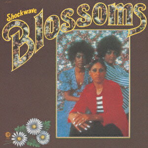 ショックウェイヴ