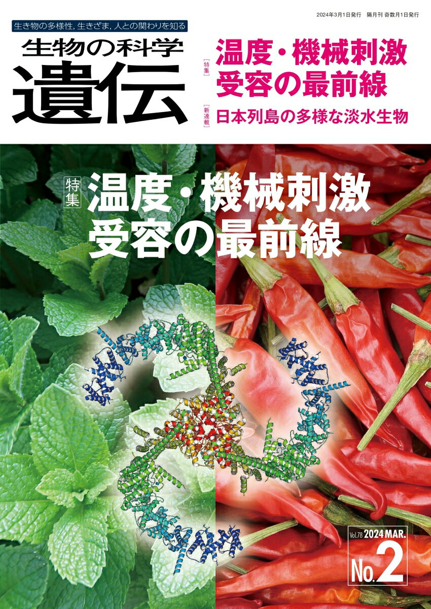 生物の科学　遺伝　2024年3月発行号（Vol.78-No.2） 温度・機械刺激受容の最前線 [ 公益財団法人遺伝学普及会 ]
