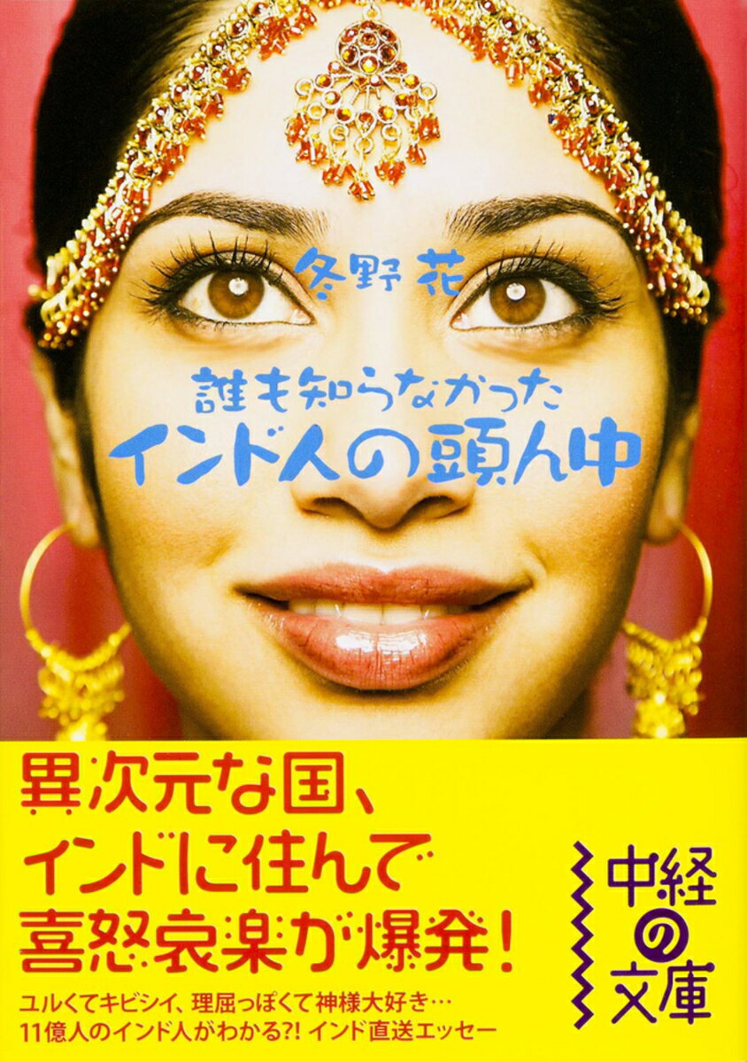 誰も知らなかった インド人の頭ん中の表紙