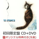 【楽天ブックス限定先着特典】55 STONES (初回限定盤 CD+DVD)(斉藤和義オリジナルステッカー (Type E)) [ 斉藤和義 ]