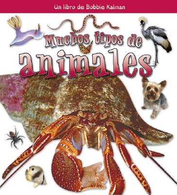 Muchos Tipos de Animales (Many Kinds of Animals) SPA-MUCHOS TIPOS DE ANIMALES ( （Que Tipo de Animal Es?） 