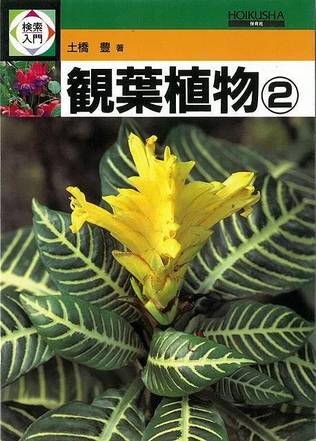 【バーゲン本】検索入門　観葉植物（2）
