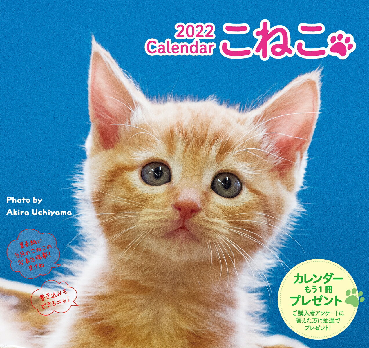 2022 こねこカレンダー