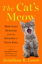 The Cat s Meow: How Cats Evolved from the Savanna to Your Sofa CATS MEOW [ Jonathan B. Losos ]