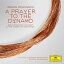 【輸入盤】Prayer To The Dynamo / Suites From Sicario & : The Theory Of Everything