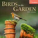 Audubon Birds in the Garden Wall Calendar 2021 2021 AUDUBON BIRDS IN THE GARD National Audubon Society