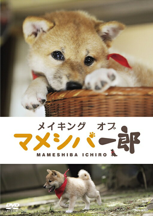 �ޥ᥷�а�Ϻ �ա��ƥ�μ���Ϻ DVD-BOX