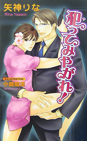 犯（や）ってみやがれ！