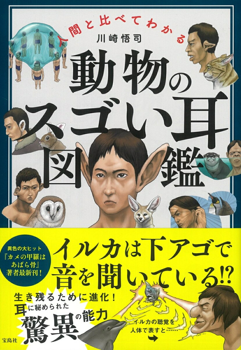 人間と比べてわかる 動物のスゴい耳図鑑