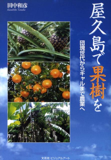 屋久島で果樹を