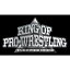 速報DVD!新日本プロレス2015 KING OF PRO-WRESTLING 10.12両国国技館 4,180円