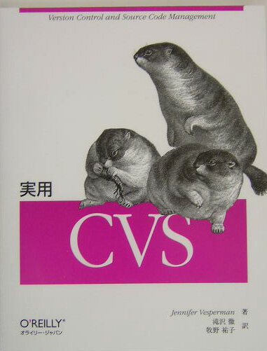 実用CVS