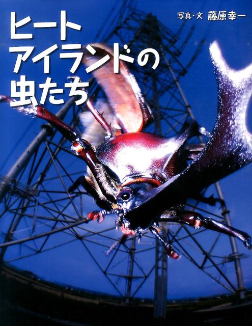 ヒートアイランドの虫たち