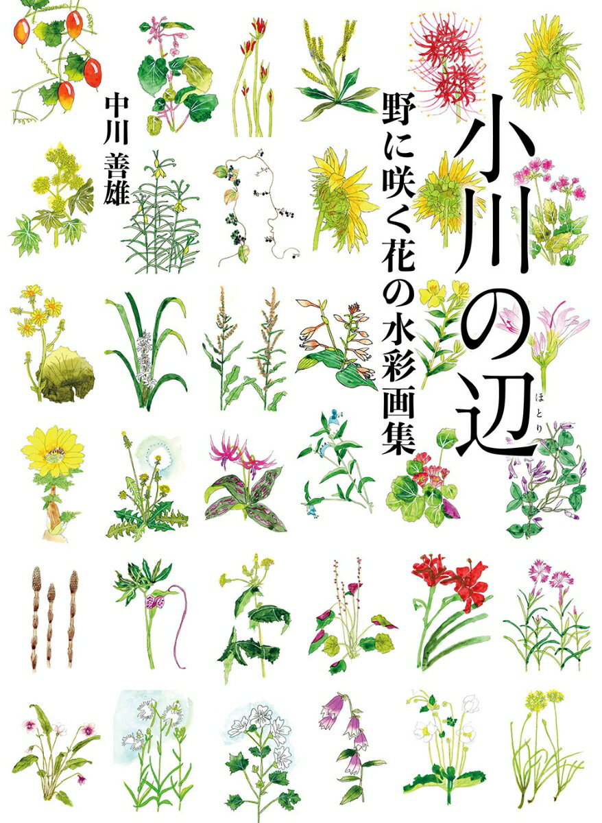 小川の辺 野に咲く花の水彩画集