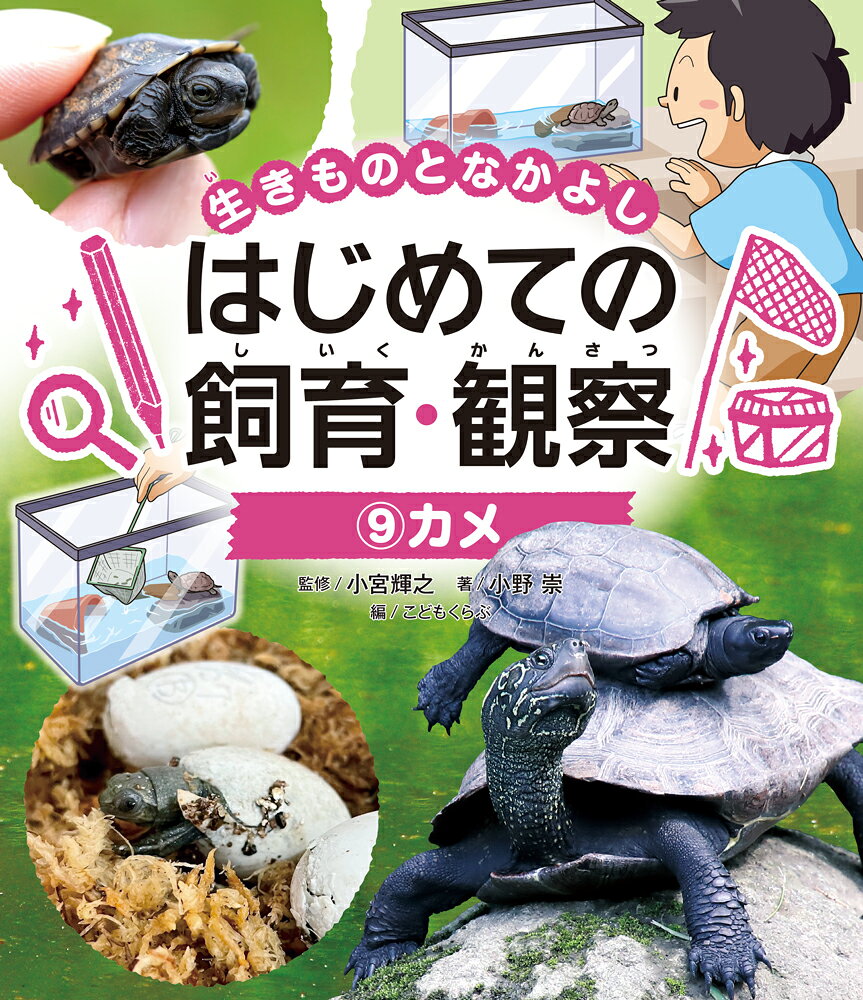 生きものの学校飼育・観察の方法やコツをやさしく解説するシリーズ。生活科や理科における飼育・観察活動の参考資料としてご活用いただけます。この巻では、カメをとりあげ、その生態や特徴からはじまり、飼育環境の整え方や日々の世話のコツ、病気・けがの対処法に至るまで、丁寧に解説しています。また、命の大切さや環境保全といった、飼育活動をとおして考えるべきことについても踏み込んで解説しているので、先生方の授業づくりにも生かしていただける内容となっています。本書のパート1では、これから飼うカメについての基礎知識をクイズで出題、パート2では、カメの生態や飼育・観察のポイントを、たくさんの写真や図解を使って詳しく解説します。そしてパート3では、飼育活動を通してさらに学びを広げます。こうしたきめ細かな構成をとることによって、低学年の子どもにも理解しやすくなっています。