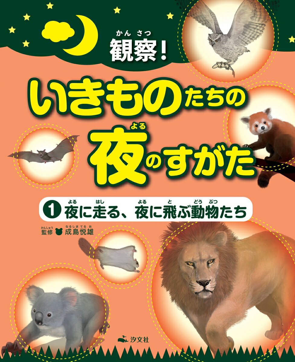1夜に走る、夜に飛ぶ動物たち （観察！　いきものたちの夜のすがた） [ 成島悦雄 ]のサムネイル
