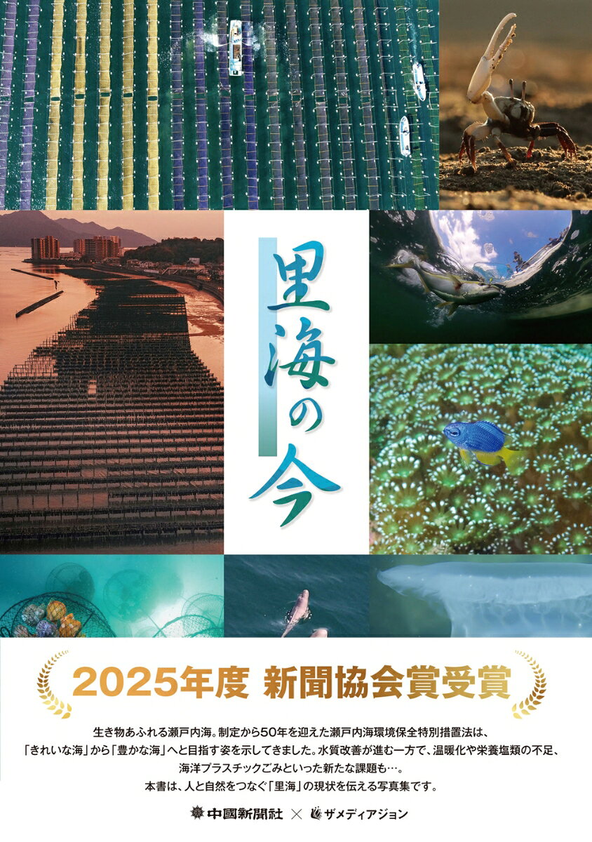 里海の今