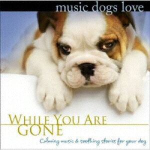 犬のための音楽 Music Dogs Love/あなたがいないときのために [ ブラッドリー・ジョセフ ]