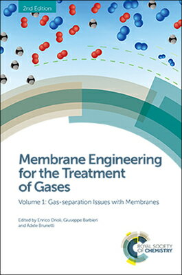 Membrane Engineering for the Treatment of Gases: Volume 1: Gas-Separation Issues with Membranes