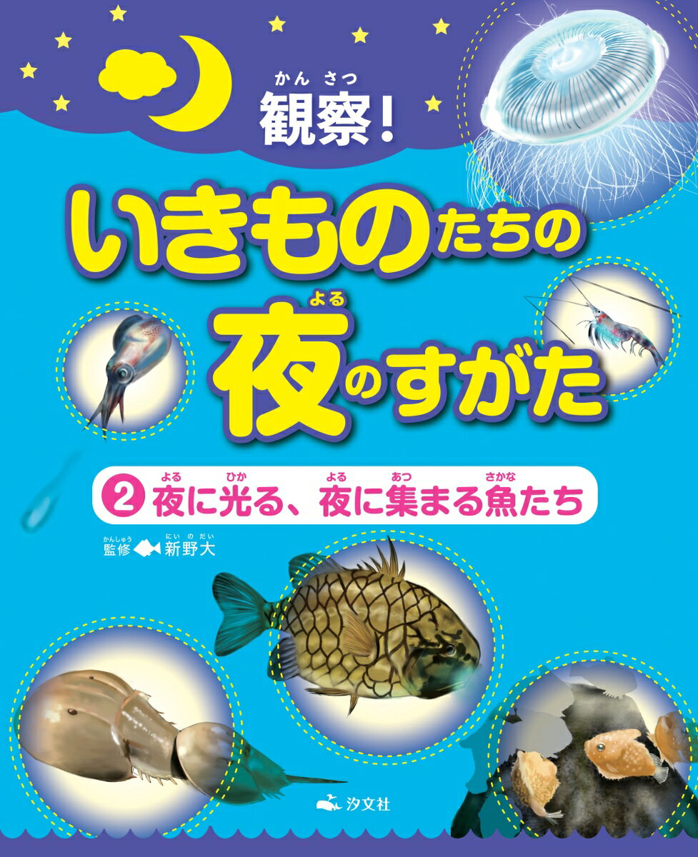 2夜に光る、夜に集まる魚たち