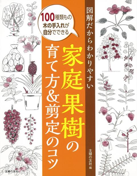【バーゲン本】家庭果樹の育て方＆剪定のコツー図解だからわかりやすい