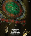 KOBUKURO LIVE TOUR 2013 “One Song From Two Hearts” FINAL at 京セラドーム大阪 【Blu-ray】 [ コブクロ ]