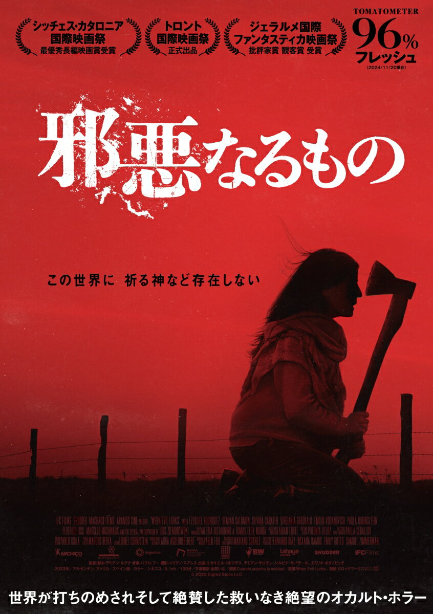 邪悪なるもの Blu-ray&DVD【Blu-ray】