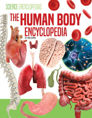 Human Body Encyclopedia HUMAN BODY ENCY （Science Encyclopedias） [ Linda Cernak ]