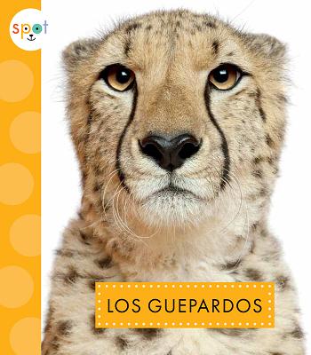 Los Guepardos SPA-GUEPARDOS （Animales Africanos） 