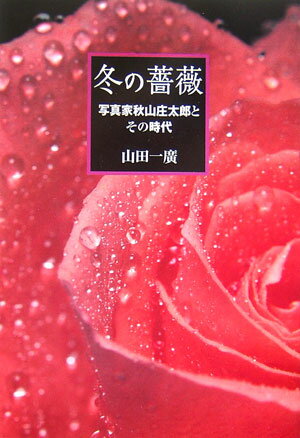 冬の薔薇