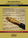 【輸入楽譜】バーンズ, James: 輝くブラス : フル スコアとパート譜セット バーンズ, James