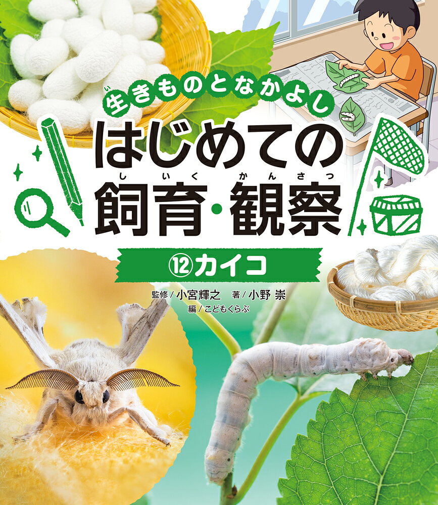 カイコ