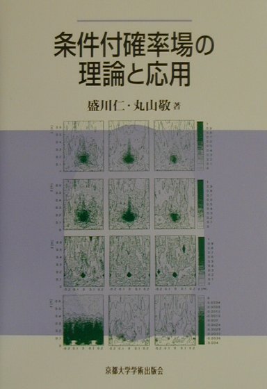 条件付確率場の理論と応用