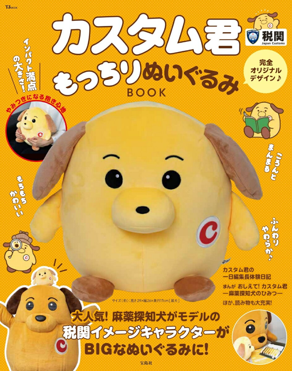 カスタム君もっちりぬいぐるみBOOK