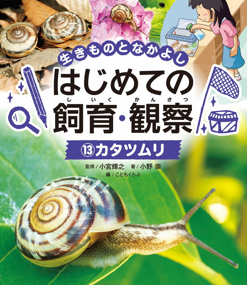生きものの学校飼育・観察の方法やコツをやさしく解説するシリーズ。生活科や理科における飼育・観察活動の参考資料としてご活用いただけます。この巻では、カタツムリをとりあげ、その生態や特徴からはじまり、飼育環境の整え方や日々の世話のコツ、病気・けがの対処法に至るまで、丁寧に解説しています。また、命の大切さや環境保全といった、飼育活動をとおして考えるべきことについても踏み込んで解説しているので、先生方の授業づくりにも生かしていただける内容となっています。本書のパート1では、これから飼うカタツムリについての基礎知識をクイズで出題、パート2では、カタツムリの生態や飼育・観察のポイントを、たくさんの写真や図解を使って詳しく解説します。そしてパート3では、飼育活動を通してさらに学びを広げます。こうしたきめ細かな構成をとることによって、低学年の子どもにも理解しやすくなっています。