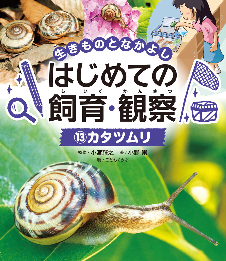 生きものの学校飼育・観察の方法やコツをやさしく解説するシリーズ。生活科や理科における飼育・観察活動の参考資料としてご活用いただけます。この巻では、カタツムリをとりあげ、その生態や特徴からはじまり、飼育環境の整え方や日々の世話のコツ、病気・けがの対処法に至るまで、丁寧に解説しています。また、命の大切さや環境保全といった、飼育活動をとおして考えるべきことについても踏み込んで解説しているので、先生方の授業づくりにも生かしていただける内容となっています。本書のパート1では、これから飼うカタツムリについての基礎知識をクイズで出題、パート2では、カタツムリの生態や飼育・観察のポイントを、たくさんの写真や図解を使って詳しく解説します。そしてパート3では、飼育活動を通してさらに学びを広げます。こうしたきめ細かな構成をとることによって、低学年の子どもにも理解しやすくなっています。