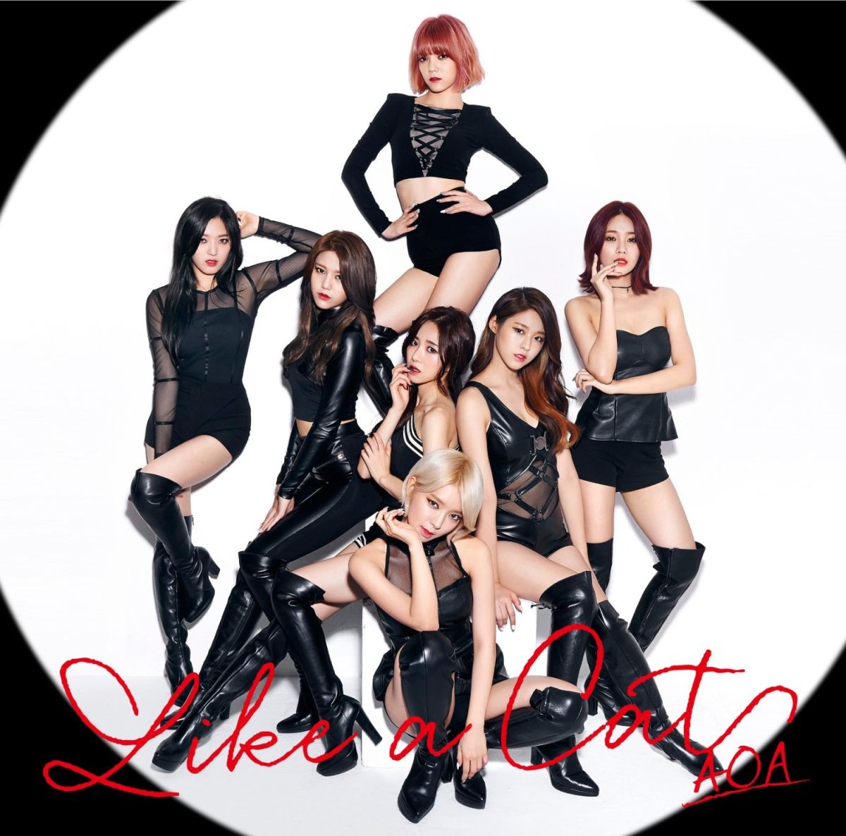 Like a Cat (初回限定盤A CD＋DVD) [ AOA ]