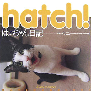 Hatch！ はっちゃん日記 [ 八二一 ]