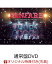 【楽天ブックス限定先着特典】Little Glee Monster Live Tour 2023 “Fanfare”(通常盤DVD)(オリジナルアクリルキーホルダー)