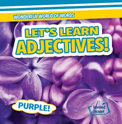 Let's Learn Adjectives! LETS LEARN ADJECTIVES （Wonderful World of Words） 