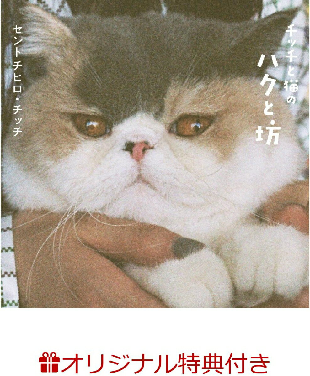 【楽天ブックス限定特典】チッチと猫のハクと坊(オリジナルポストカード)