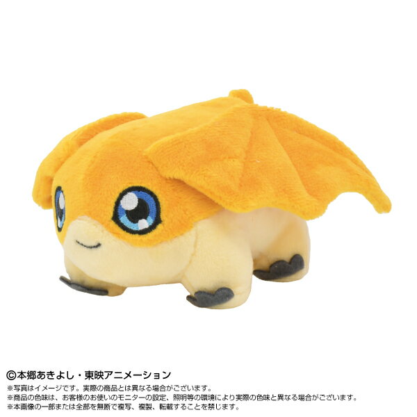 デジモンアドベンチャー：　Chibiぬいぐるみ パタモン