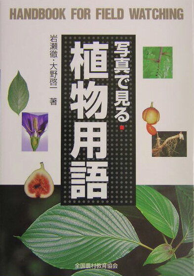 写真で見る植物用語 （野外観察ハンドブック） [ 岩瀬徹 ]