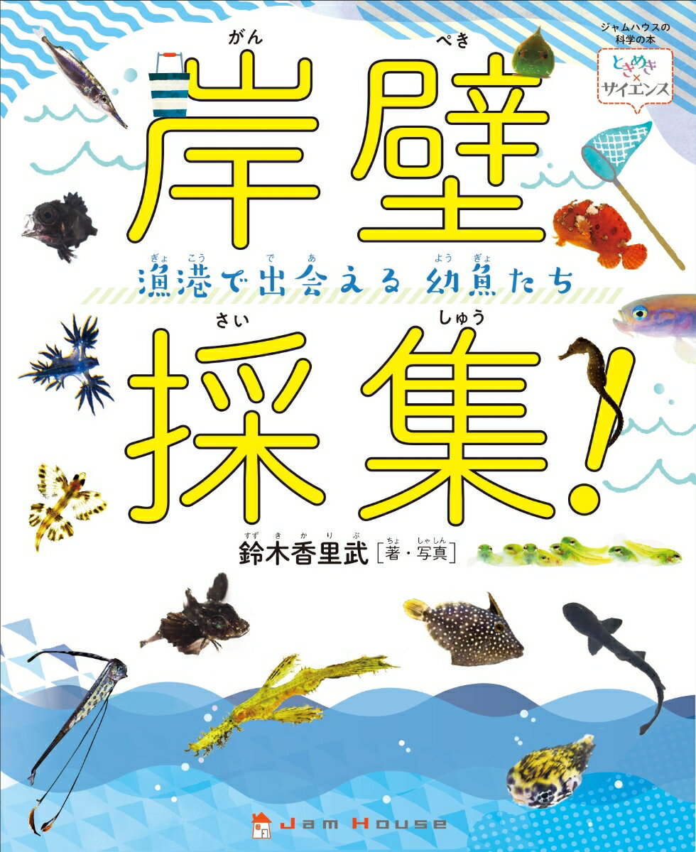 ２００種類以上の魚を紹介！見つけ方とすくい方のコツが分かる！カワハギも、タツノオトシゴも、リュウグウノツカイも、み〜んな漁港にいる！海に入ることなく漁港で上から生き物を観察する「岸壁採集」。身近な魚から珍しい深海魚まで、“足元の海”で出会える魚の赤ちゃんの生態と、彼らを見つけるコツを大公開！タモ網とバケツさえあれば楽しめる海あそびの入門を紹介。