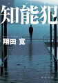 西船橋駅近くで起きた傷害致死事件。現行犯逮捕された犯人は連行中のパトカー内で急死した。船橋署の香山刑事らは衝動的な犯行と見て裏付け捜査を進めていたが、酒が飲めないはずの犯人の事件直前の飲酒や凶器の出所、犯行現場への移動時間のずれなど、不審な点が次々と明らかになる。さらに事件の半年ほど前、犯人に急接近した謎の男がいたようで…。事件の裏に隠された悪意に香山が執念で挑む、戦慄のヒューマンミステリ！