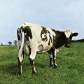 Disc1
1 : Atom Heart Mother (Father's Shout / Breast Milky / Mother Fore / Funky Dung / MindYour Throats Please / Remergence)
2 : If
3 : Summer '68
4 : Fat Old Sun
5 : Alan's Psychedelic Breakfast (Rise and Shine / Sunny Side Up / Morning Glory)
Powered by HMV